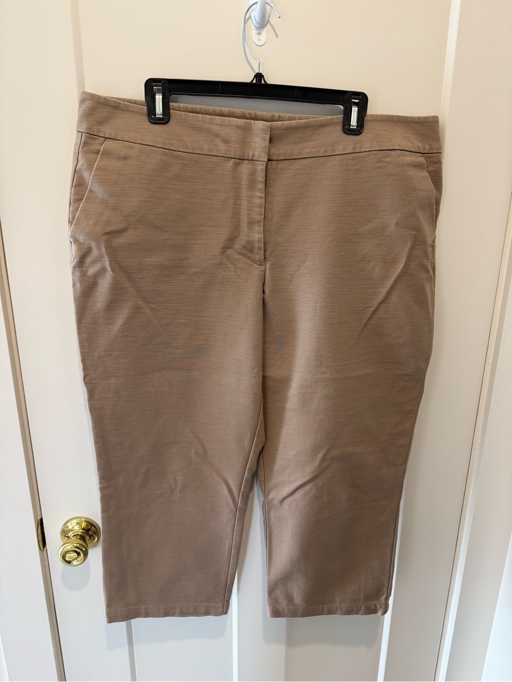 Ann Taylor Womens Beige Pull-On Capri Pants